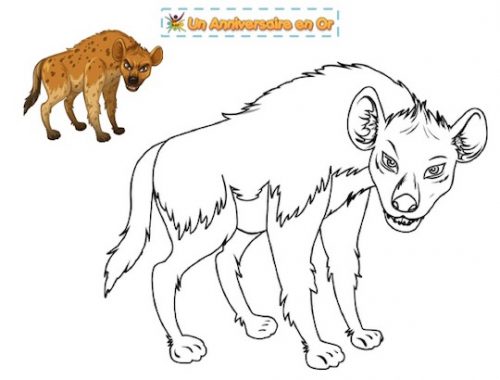 coloriage hyène