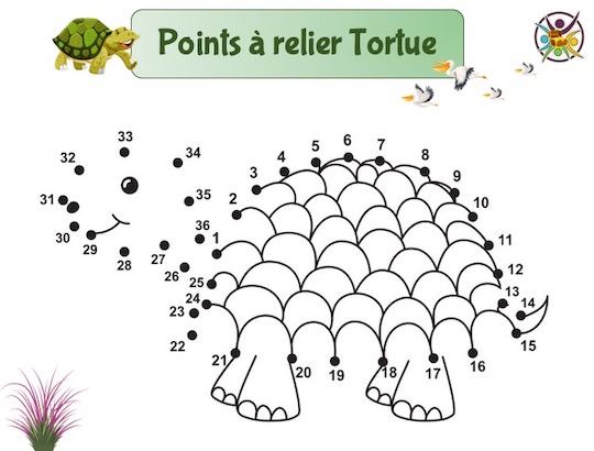 Points à relier tortue