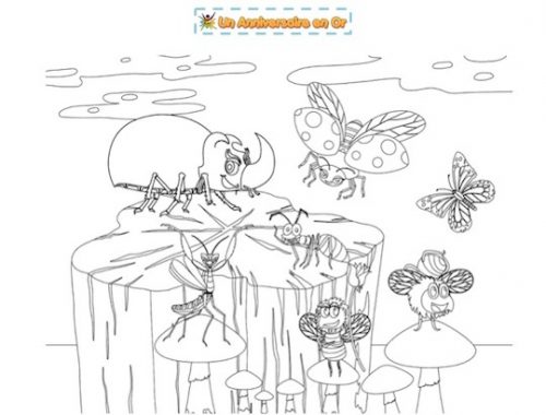 coloriage insectes