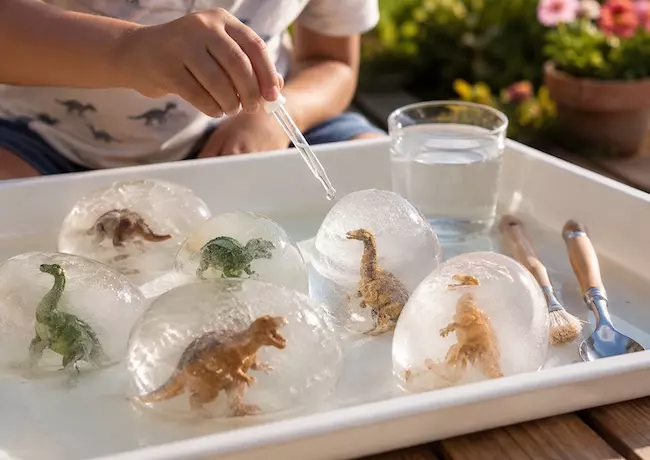 Fabriquer des œufs de dinosaure : activité glacée